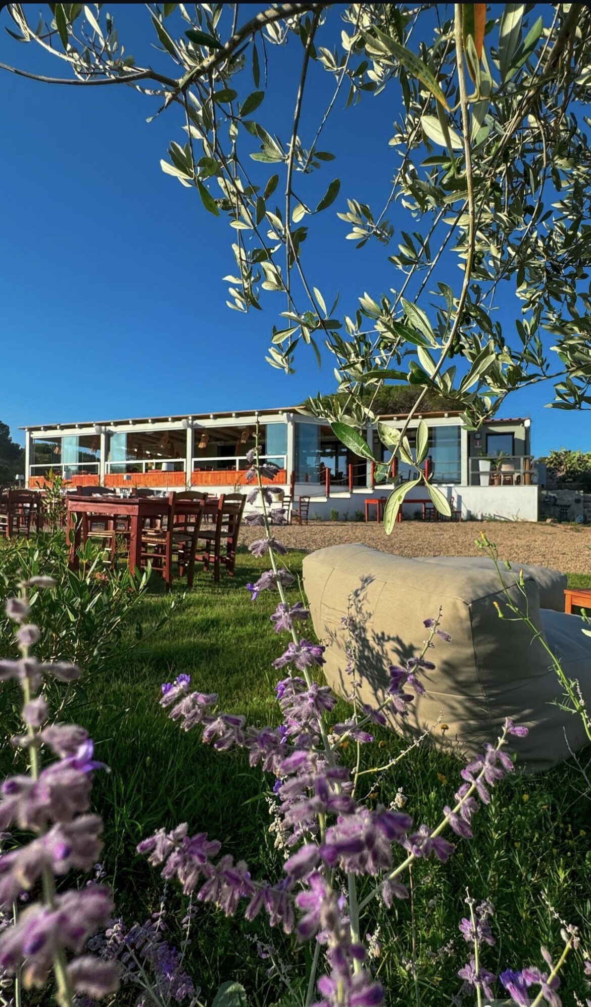 Giardino del ristorante Kumalè di giorno - cena all'aperto a La Maddalena